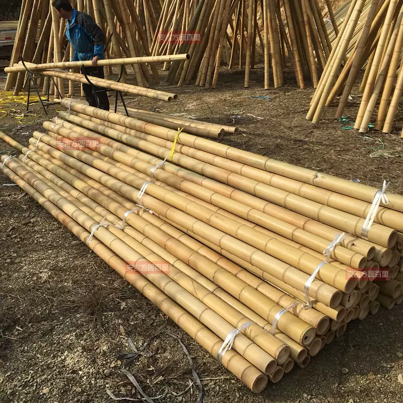 装饰竹杆防腐竹竿竹子吊顶隔断搭架毛竹杆粗细竹子杆旗杆竹棍白竹