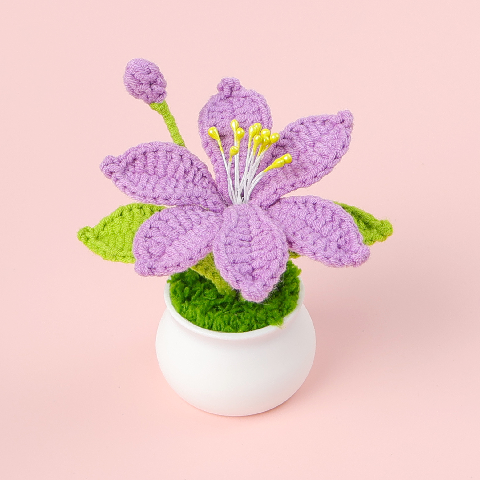 Orquídea marciana en maceta - púrpura