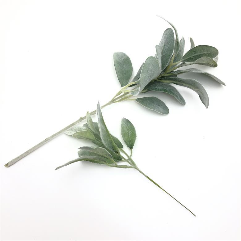 2021-07-21 180346.jpg