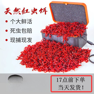 �ش�t�x���D�r��ڿ����DС�x����ﶬҰឺ��^���x�a�~�D�z����