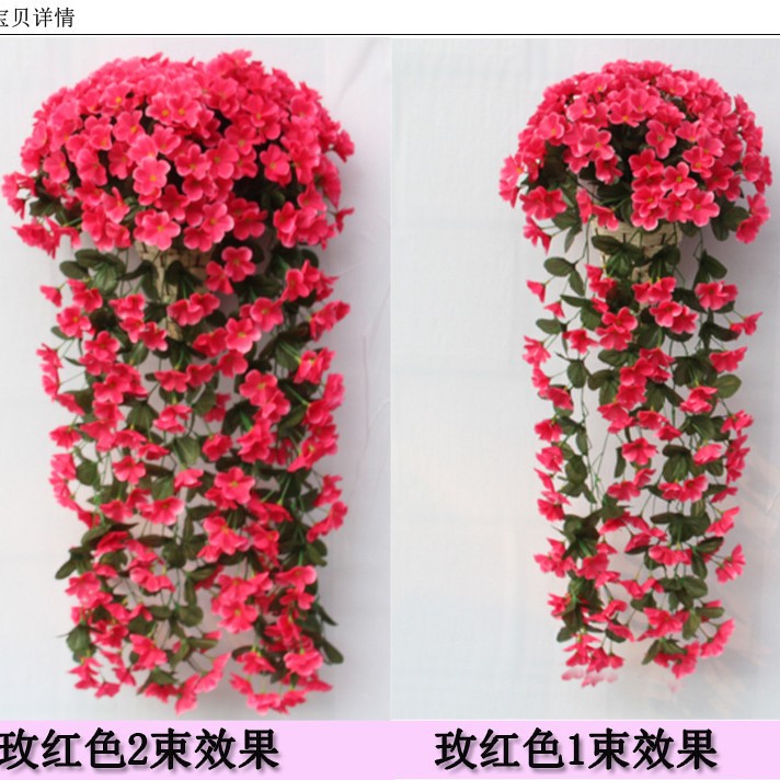 5 사무실 로즈 레드