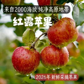 块茎类;苹果;其他蔬菜