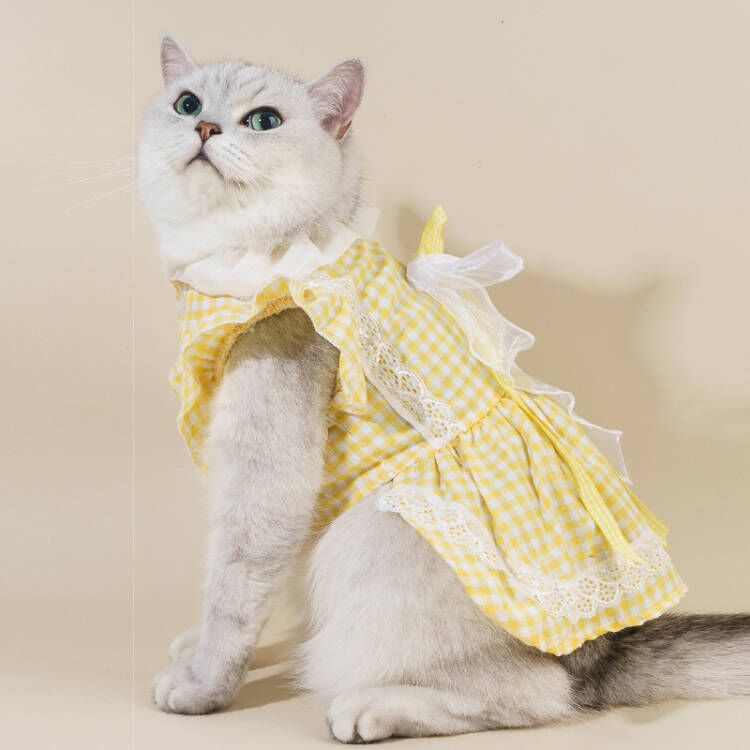 217
