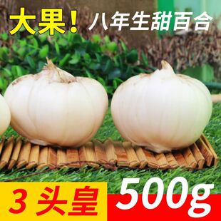 ���C�خa�m����ٺ����rʳ����ٺ��r���Ԯa��ٺ����r����r�߲�