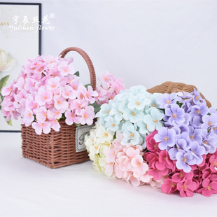 ���l5�溣�Ļ����컨�ٻ�����ֲ��[�O�͏d�ҾӲ����b����滨