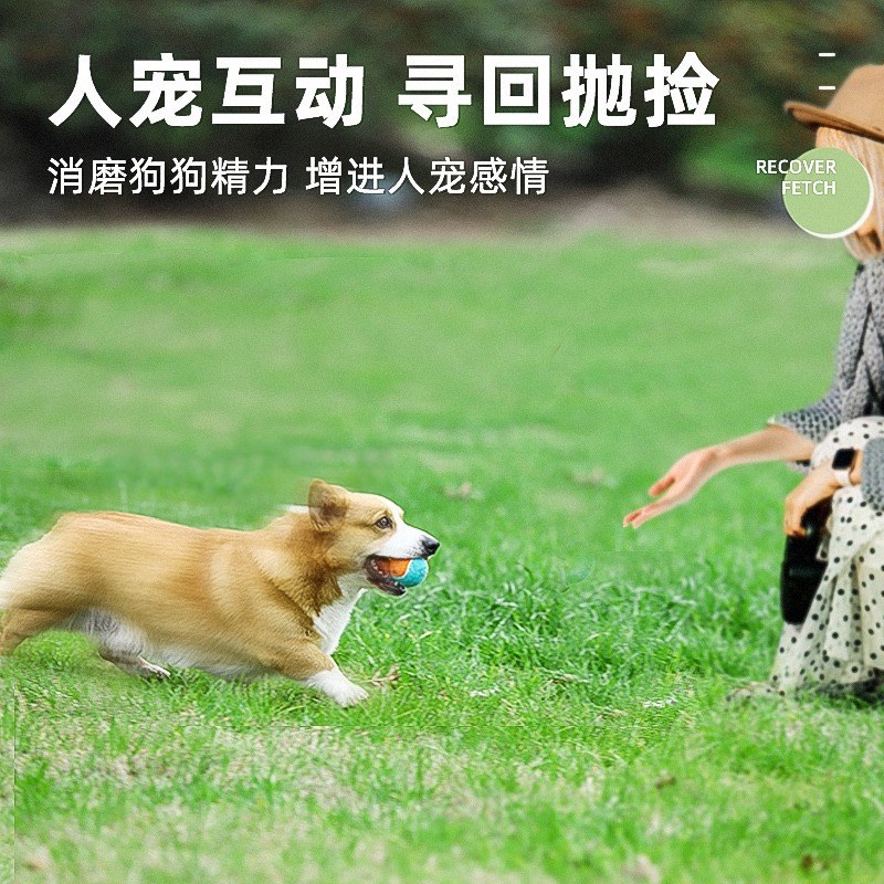 Pelota de juguete para perros artefacto para aliviar el aburrimiento