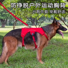 アウトドアスポーツの犬の牽引紐の中で、大型の犬の防爆冲ペットの胸のベルトのベスト式の金毛は犬の紐を散歩します。