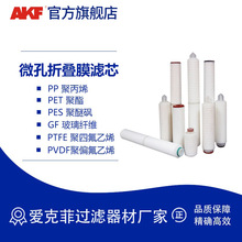 微孔折叠膜滤芯pp聚丙烯PES聚醚砜ptfe GF PVDF滤膜pe过滤芯批发