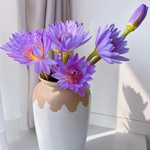 10֧��ɫ˯ɏ�r��7�K3���]���ҏV�ݻ���ֱ�lˮ�Bɏ���҃Ȳ廨