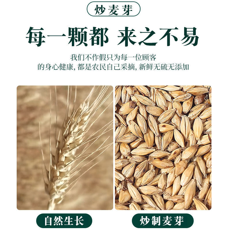 Fried Malt Germinated Barley Sprout Mai Ya 500g Dried Herb for Tea and Decoction quality and texture