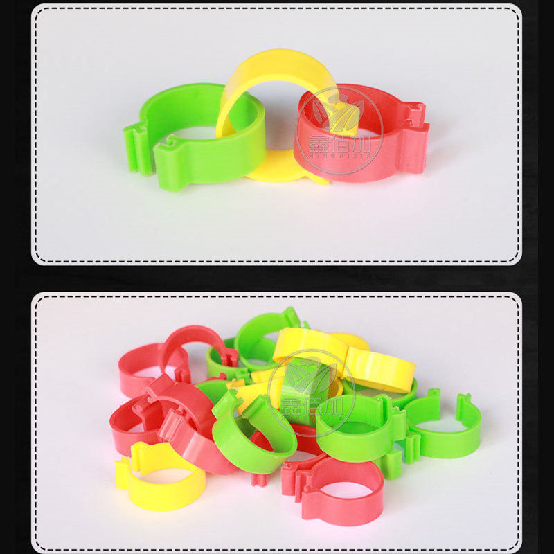 鑫佰加 Chicken foot ring with snapping plastic chicken foot ring lettering chicken duck geese poultry foot ring pigeon foot ring 4