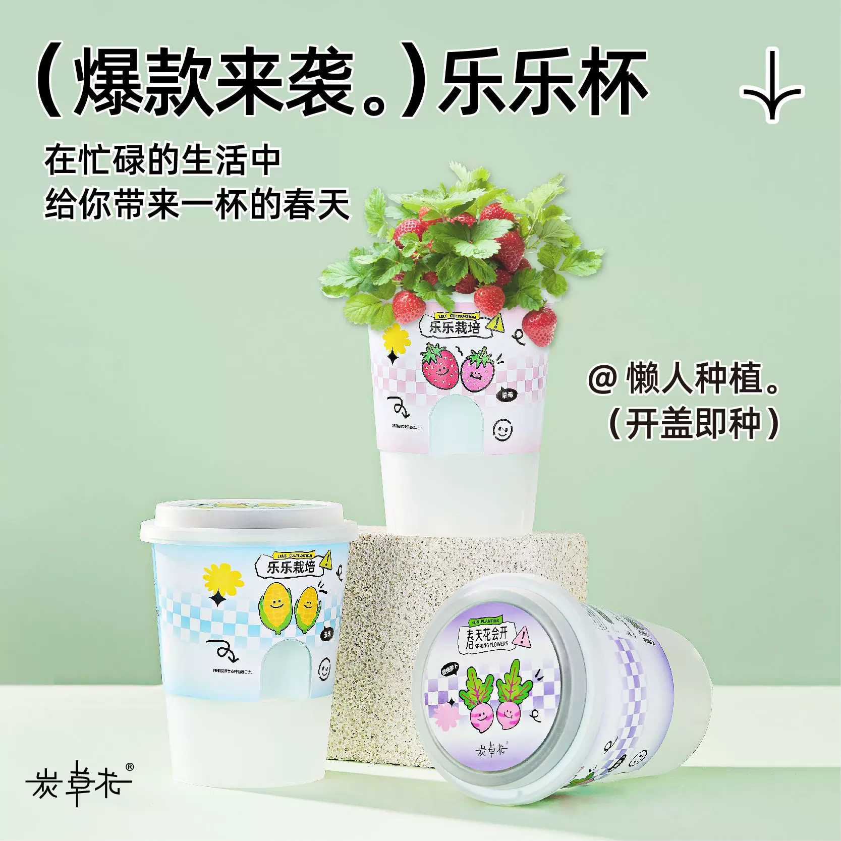 乐乐杯懒人养护开盖即种儿童种植玩具盆栽科教套装小学生种植礼品