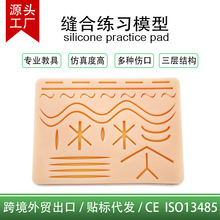 MTS�����ڏ��s��ƹ��z�p�Ͼ���ģ�K�t�W�̾߷���Ƥ�w���z�p�ω|