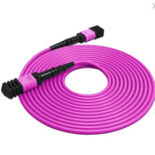 Fiber Optic Jumper Mpo-Mpo 10g Multi-Mode 12-Core Om4 100G200G Module Jumper Available in Various Specifications
