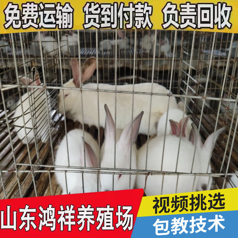 conew_202006071556522254134.jp