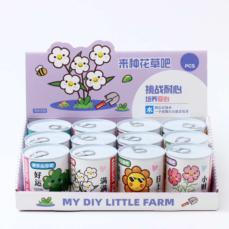 Children's DIY Planting Mini Potted Plants Creative Fun Cans Potted Plants Desktop Ornaments Flowers and Plants Bonsai