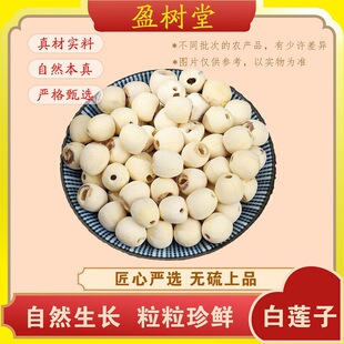 ӯ����ɏ�� 10g / ��ɏ��ɏ���ɏ�Ӹ�؛�Ҝ����� �W늂}ϵ�ͷ�