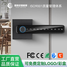 美式密码指纹锁刷卡远程蓝牙锁专供外贸涂鸦通通公寓酒店房门木门