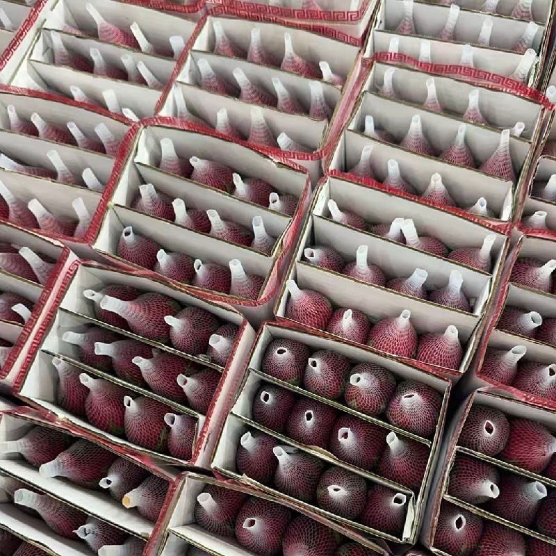 红色玫瑰花鲜花云南直发专供花店婚庆公司分销商拿货代发冷链发货