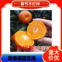 ɰ�����Ә������������Ě�����Ե��Գ��ӟo�����٘��箔��Y��