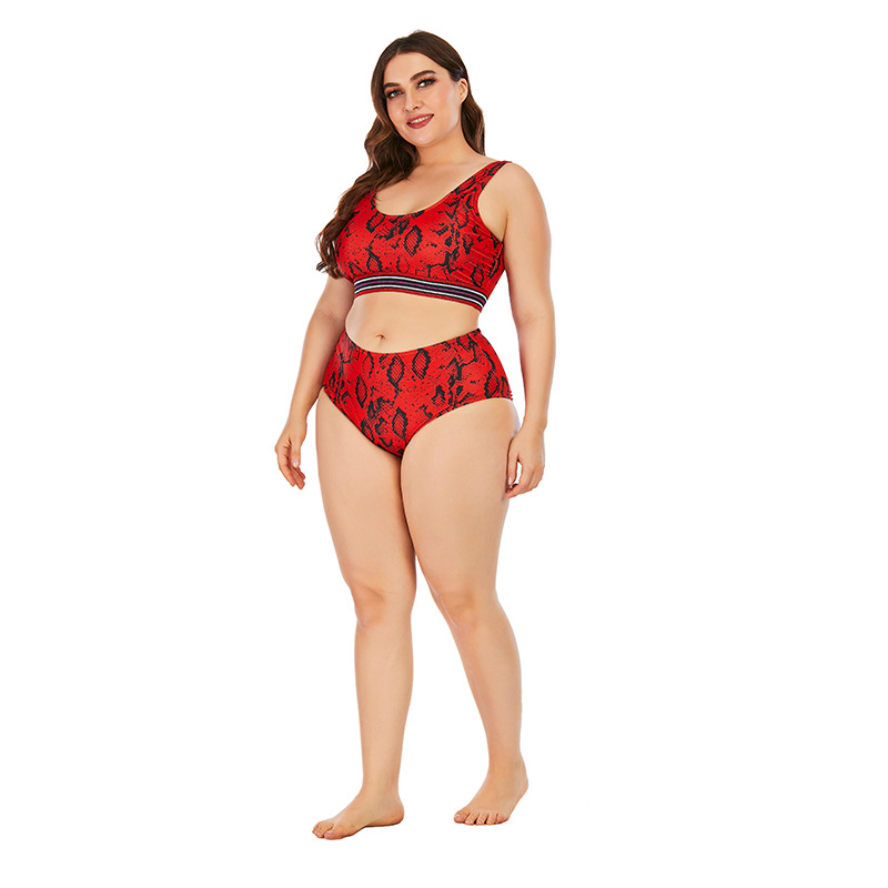 plus size sleeveless snake print Tankini two-piece set NSVNS117883