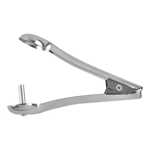 Cherry Pitting Tool, Home Tool, Stainless Steel Cherry Pitter, Date Pitting Tool