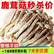 �����̓r����Ʒ¹�׹���؛¹�׾����r�Ҝ��㹽���خa���l�r����