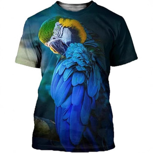 �����ļ�T������3D���aӡ����ʿ�A�I�������e�W�^ ���� �ɐۚW��