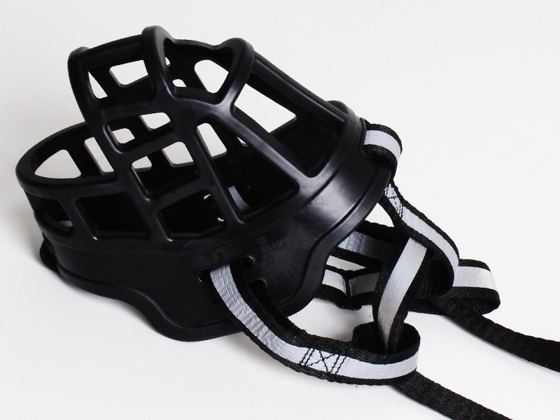 4269770920_1676148479