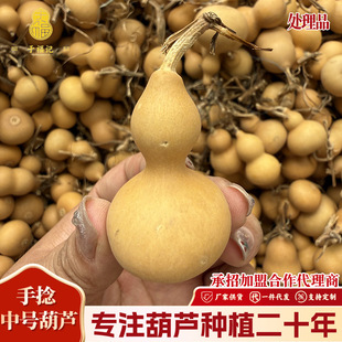 ΢�16-25cm��̖̎��β؛�̓rͨ؛�R��ҹ�Д[�� DIY���Jԭ�����l