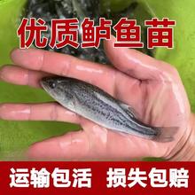 �����|�~�絭ˮ�Bֳ���|�~·����ں��|���|�Bֳ�~��