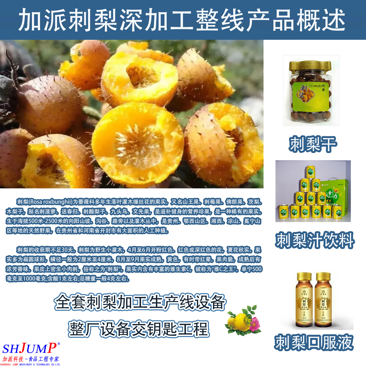 刺梨加工生產(chǎn)線