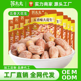 苏太太五香花生米蒜香味酒吧KTV零食工厂批发真空小包装500g