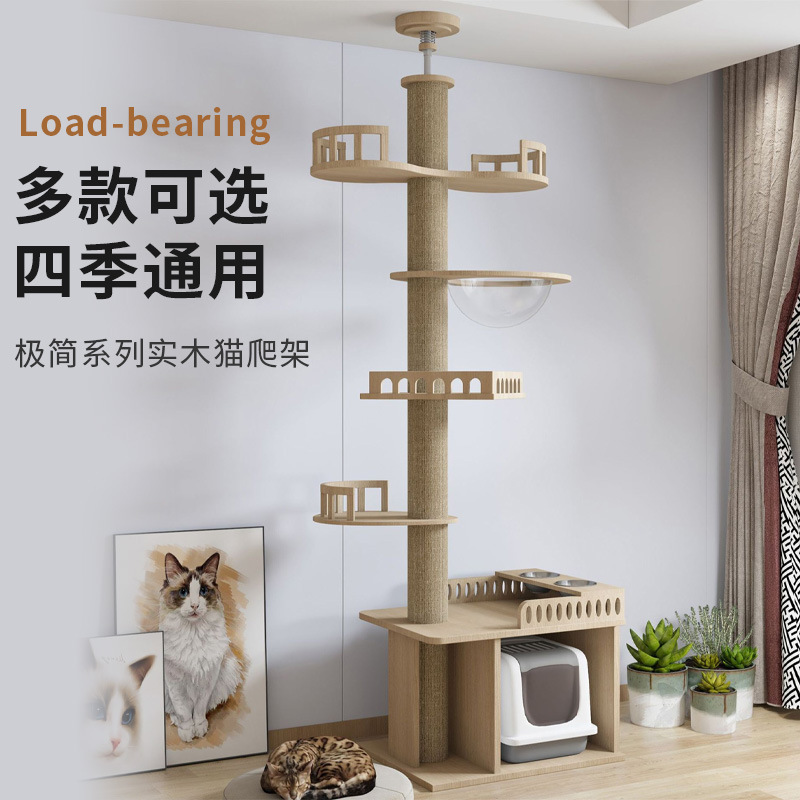 猫は天柱の一体型の猫の木の猫の巣を登ります。|undefined