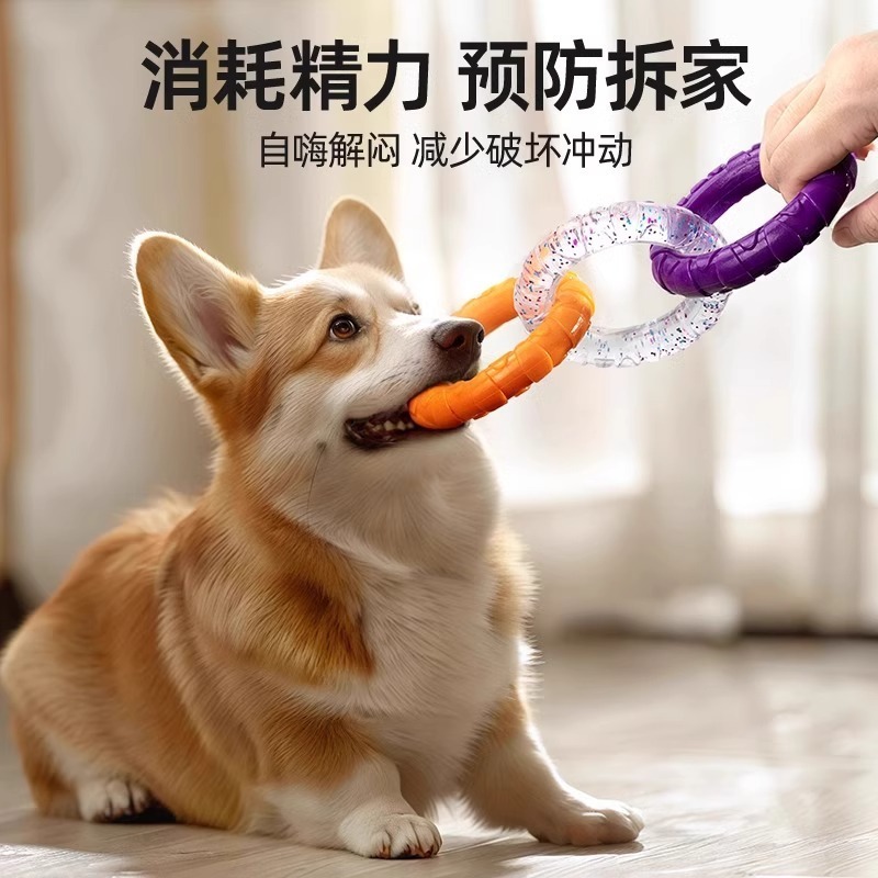 犬の抜河玩具子犬の歯ぎしり|undefined