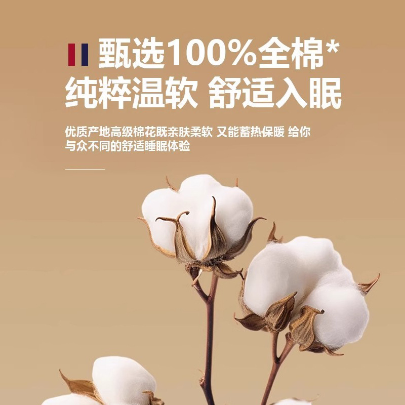 Cama de algodón de hilo de tres capas de lujo ligero de cuatro piezas de algodón puro 2024 nuevo hilo de doble capa simple funda de edredón de sábana