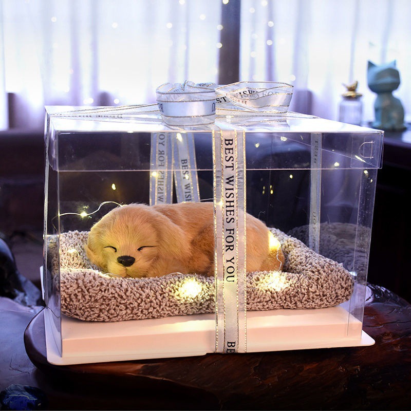Llamará juguetes de simulación adornos de carbón de bambú modelo de gato adornos juguetes de peluche muñeca caja de regalo de cumpleaños