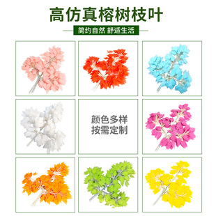 �羳�����֦�Ř��~����t���y������â���~���������^�z�پGֲ