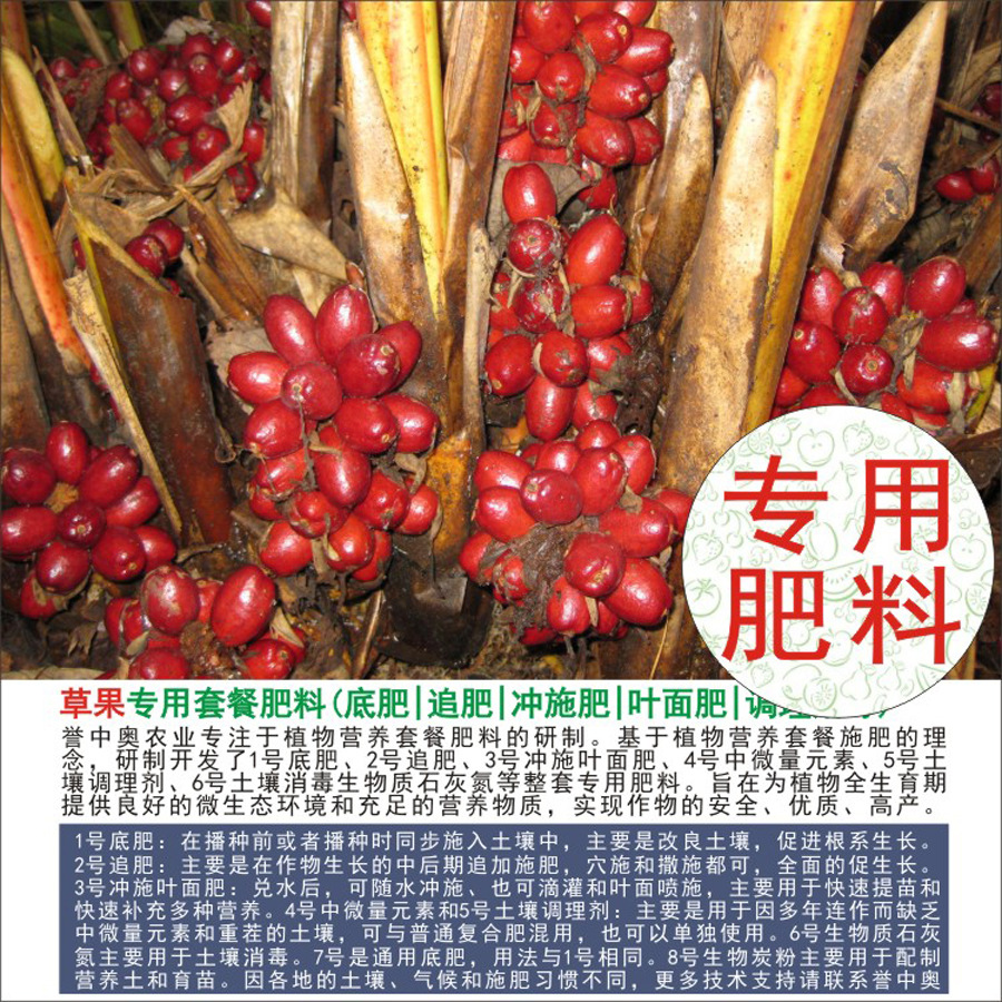 50�����а²ݹ�ר���л��ʸ��Ϸʵ׷�׷��Ҷ��ʳ�ʩ��ˮ�ܷ�