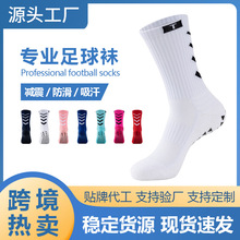 ��Ͳ�Ӻ���������m��Ů�W�������ٸ�ë���m����͸���\���m��