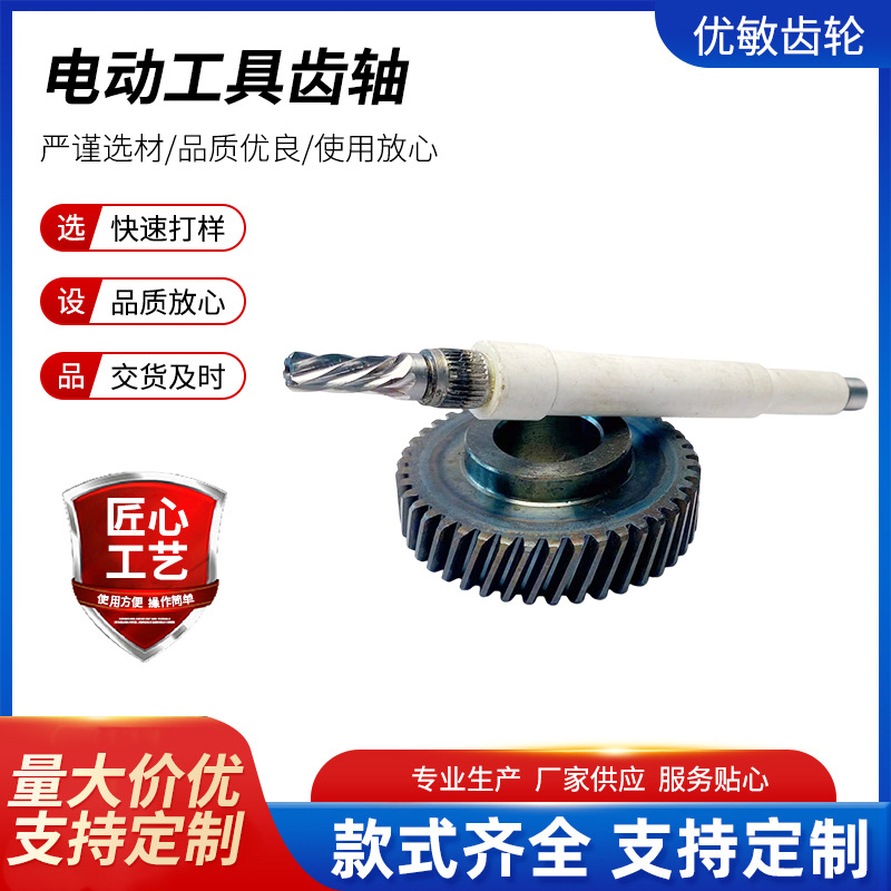 工厂供应高精度小模数电动工具园林工具减数机齿轴电机轴芯轴批发