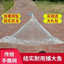 ��ʽ���W���������y�����W�֒��W�Y������ץ�~���~�W