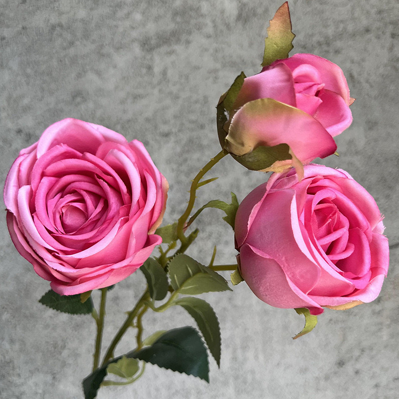 3등 공주 장미-장미 레드