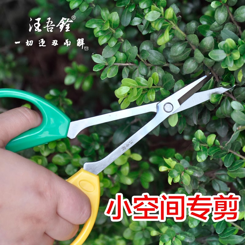 Wang Wubro tijeras de poda de ramas de carne larga de mango largo jardinería tijeras de poda de flores tijeras de brotes de ramas tijeras de hojas de maceta herramientas de bonsai