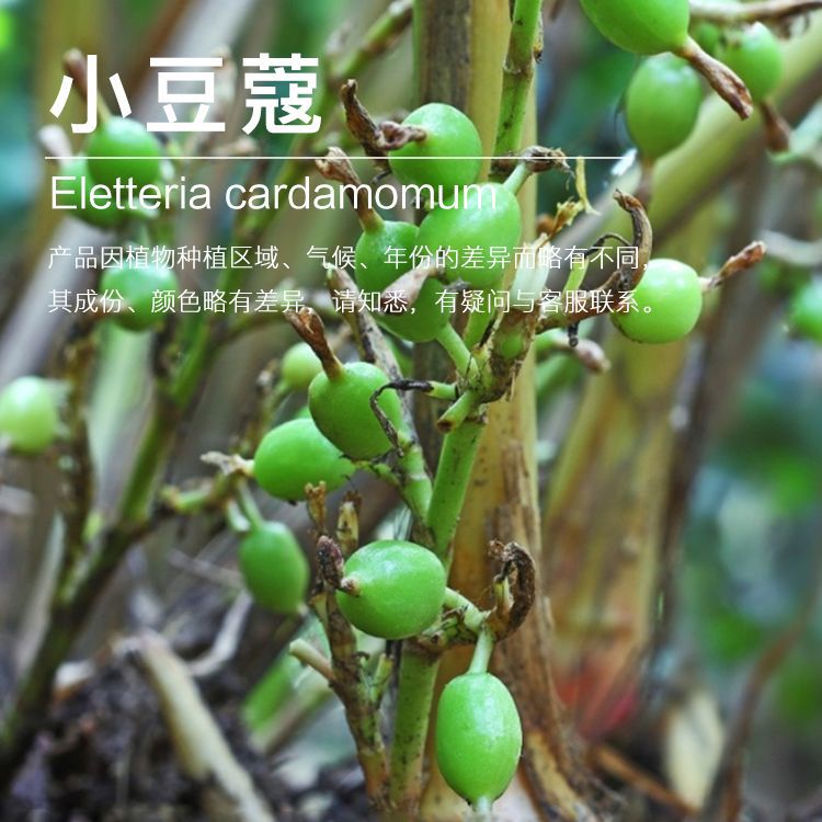 ��Ʒ5ML/ƿ С��ޢ����Ʒ��Ӧ ��ӭ��ѯ������� ��������