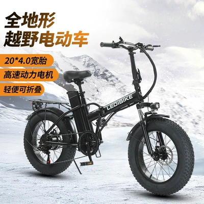 Export Products Batch More Discount, Whole Cabinet Shipping, More Discount, Foldableing Electric Vehicle, Foldableing Fat Tire Vehicle Super73