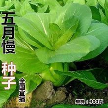 Сײ˷NӴȫ~˷NԭbNӴȫll