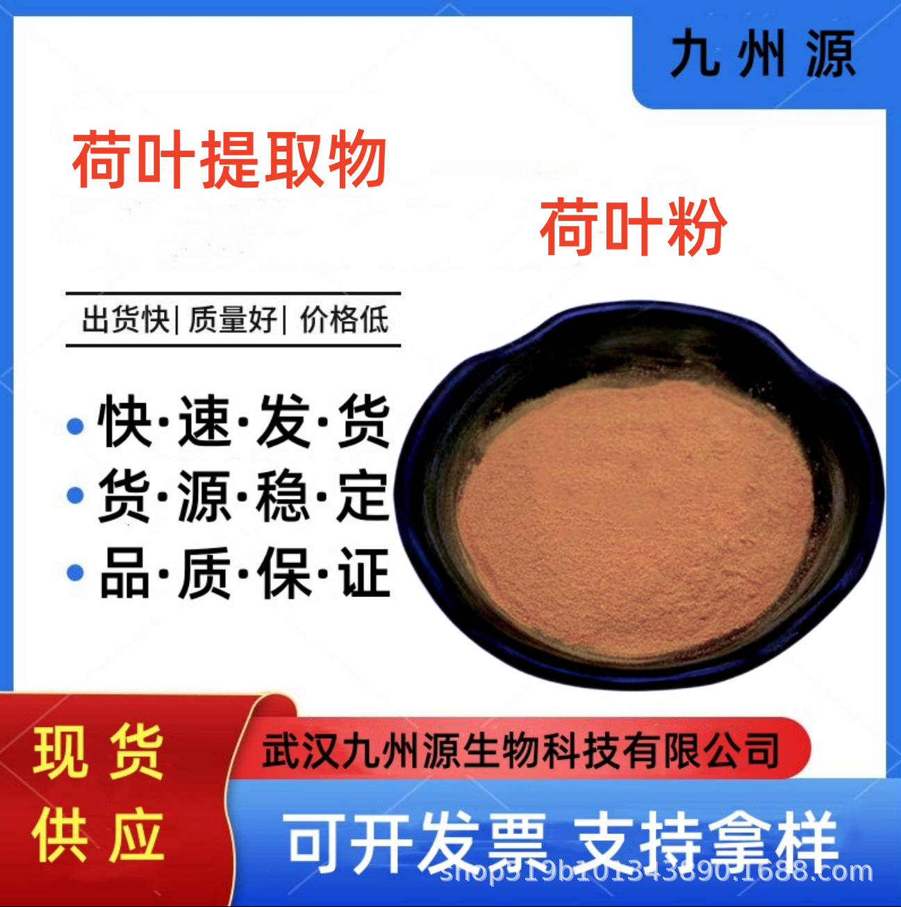 现货批发 荷叶提取物10:1  荷叶粉水溶多规格浓缩 量大从优