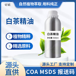 白茶精油厂家直销植物蒸馏萃取香薰芳疗白茶油化妆品日化原料