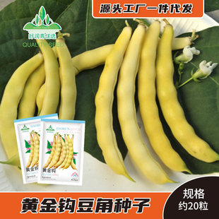 �S���h���ǷN���Sɫ�|���Ͷ��S�𹴼ܶ��N��ܿ���Ѵ��＾�������l